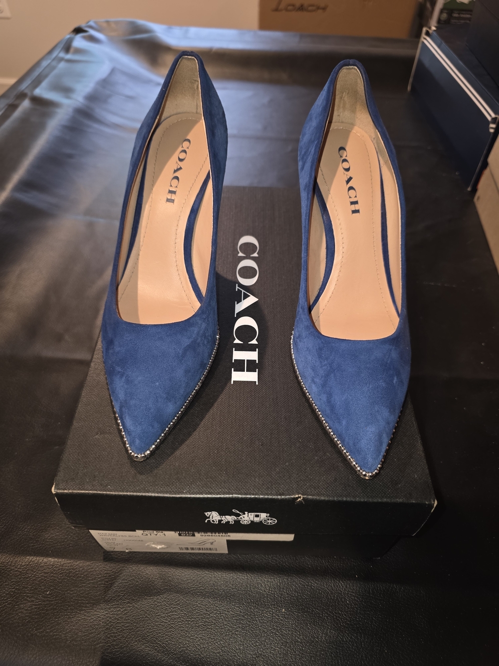 COACH Waverly Blue Suede Pointed Toe Heels